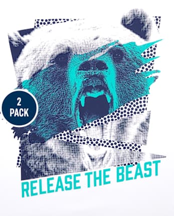 Boys Animals Graphic Tee 2-Pack