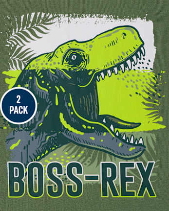 Boys Dino Camo Snug Fit Cotton Pajamas 2-Pack