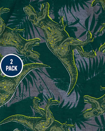 Boys Dino Camo Snug Fit Cotton Pajamas 2-Pack