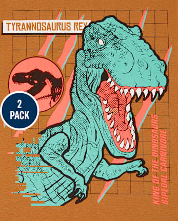 Boys Dino Graphic Tee 2-Pack