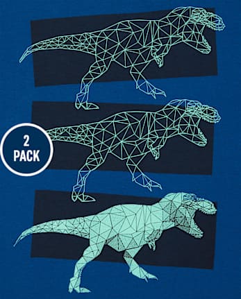 Lot de 2 t-shirts graphiques Dino pour garçon
