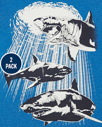 Paquete de 2 camisetas con gráfico de dinosaurio Dino para niños
