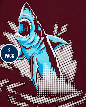 Boys Animal Graphic Tee 2-Pack