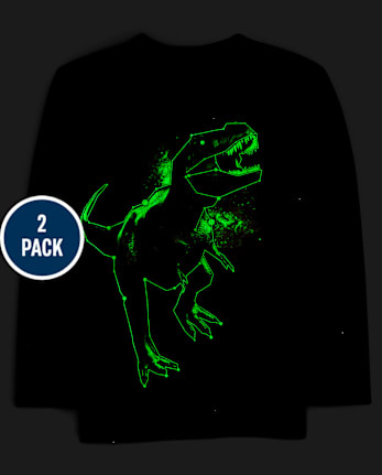 Boys Gamer Dino Graphic Tee 2-Pack