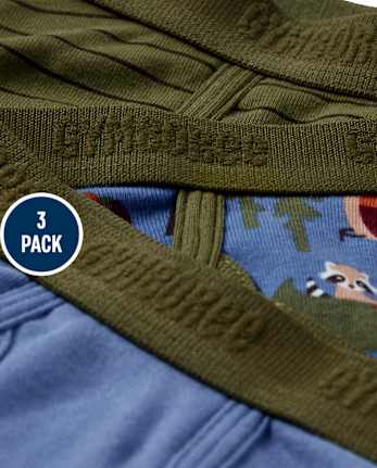 Boys Campout Brief Underwear 3-Pack