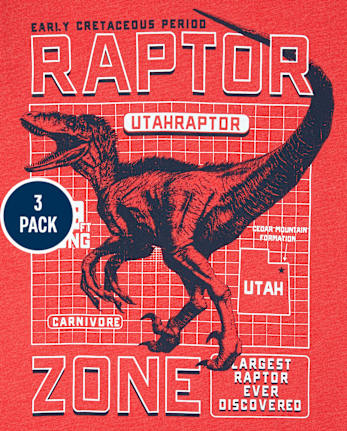 Boys Dino Graphic Tee 3-Pack