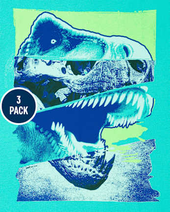 Lot de 3 t-shirts graphiques Dino pour garçon