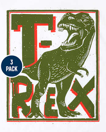 Boys Dino Graphic Tee 3-Pack