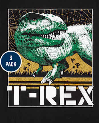 Lot de 3 t-shirts graphiques Dino pour garçon
