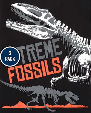 Lot de 3 t-shirts graphiques Dino pour garçon
