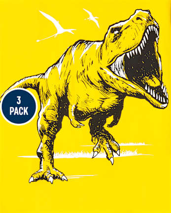 Lot de 3 t-shirts graphiques Dino pour garçon
