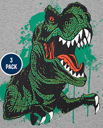 Boys Dino Graphic Tee 3-Pack