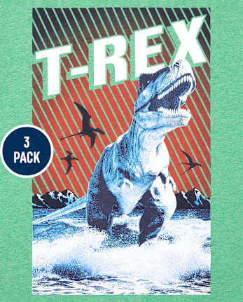 Boys Dino Graphic Tee 3-Pack