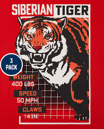 Boys Animal Graphic Tee 3-Pack