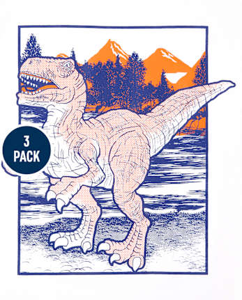 Boys Dino Graphic Tee 3-Pack