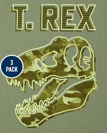 Boys Dino Graphic Tee 3-Pack