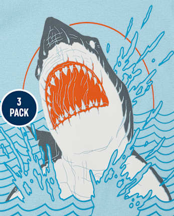 Boys Animal Graphic Tee 3-Pack