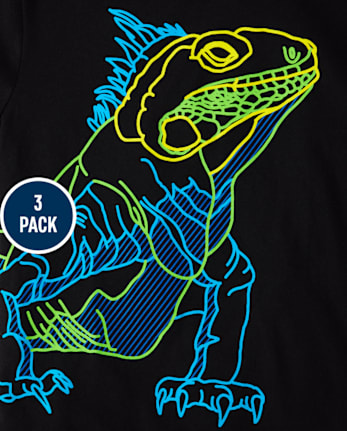 Boys Animal Graphic Tee 3-Pack