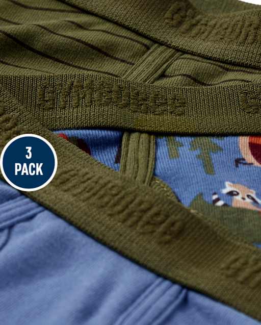 Boys Campout Brief Underwear 3-Pack - view 2