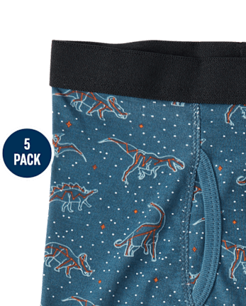 Boys Dino Boxer Brief Underwear 5-Pack