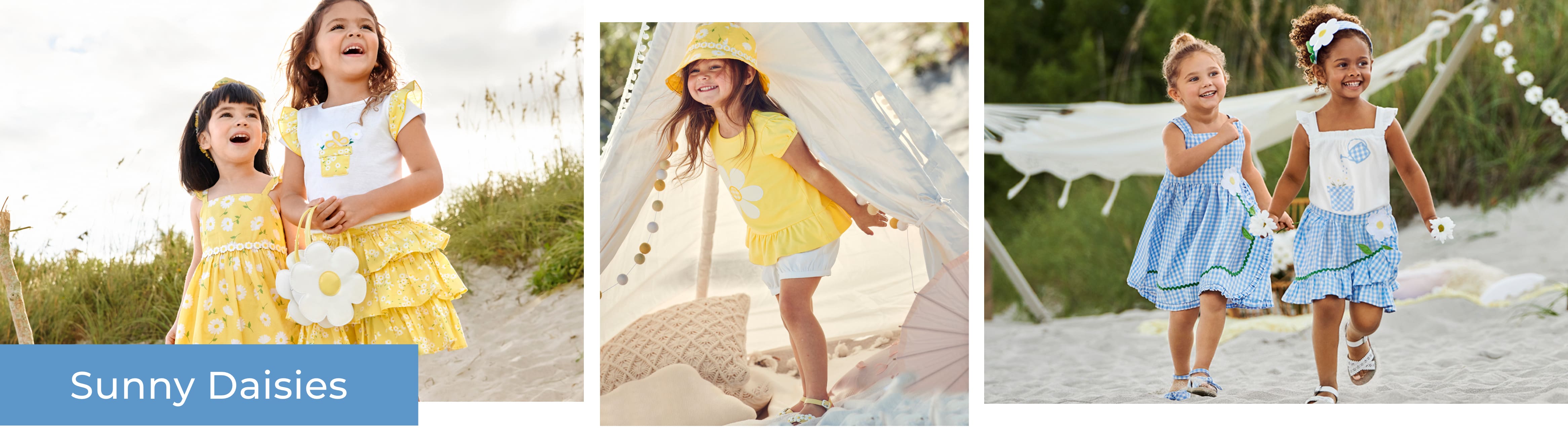 Sunny Daisy