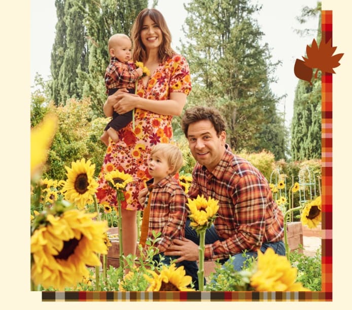 Happy Harvest Collection