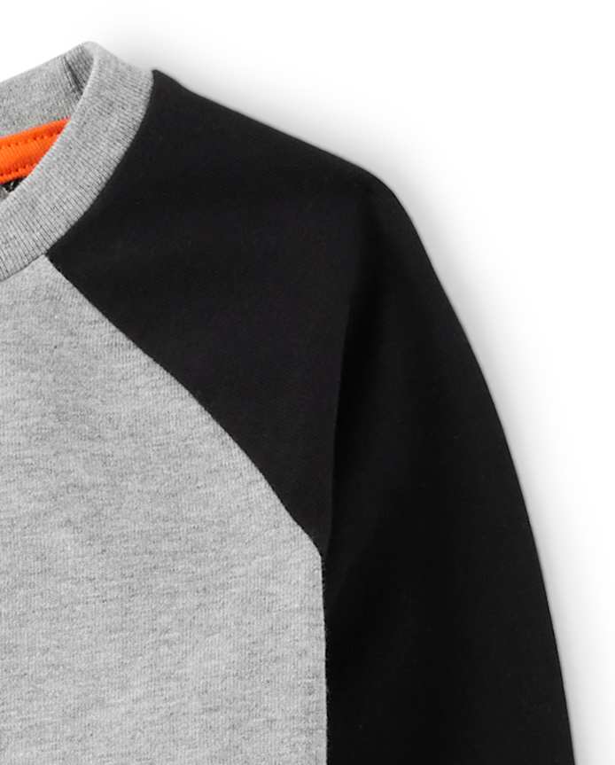 Boys Embroidered Dog Raglan Top - Trick or Treat
