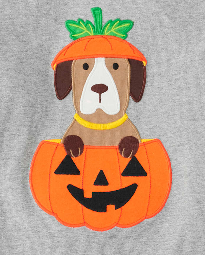 Boys Embroidered Dog Raglan Top - Trick or Treat