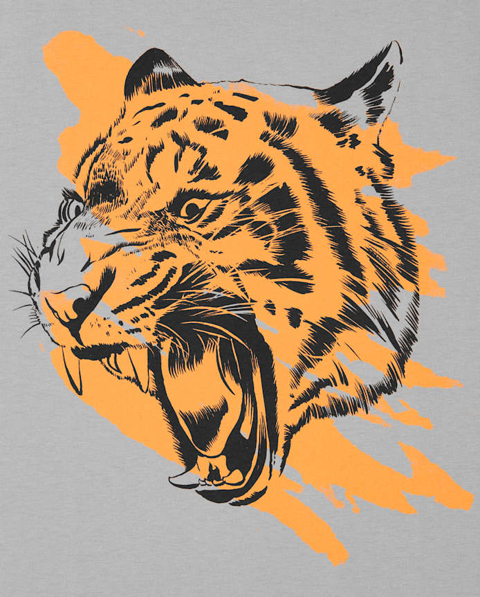 Boys Animals Graphic Tee 2-Pack