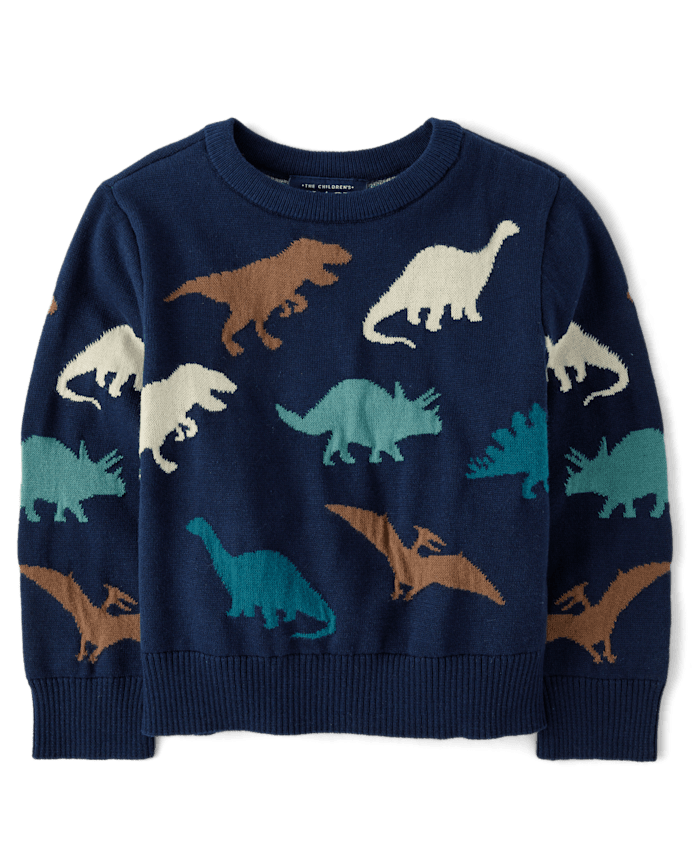 Baby And Toddler Boys Dino Sweater