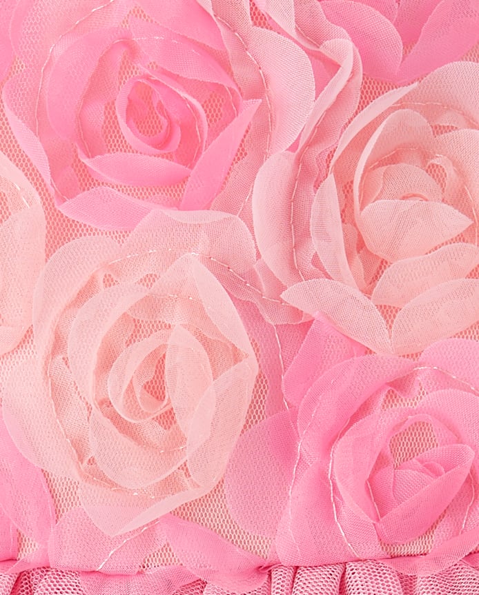 Baby And Toddler Girls 3D Rosette Mesh Fit Flare Dress