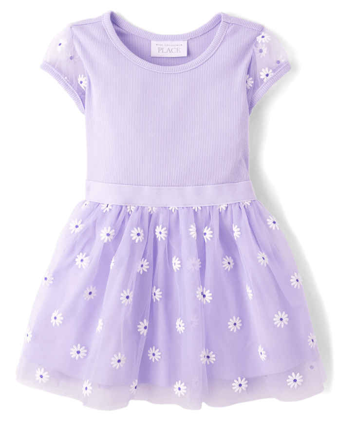 Baby And Toddler Girls 3D Daisy Mesh Fit Flare Dress