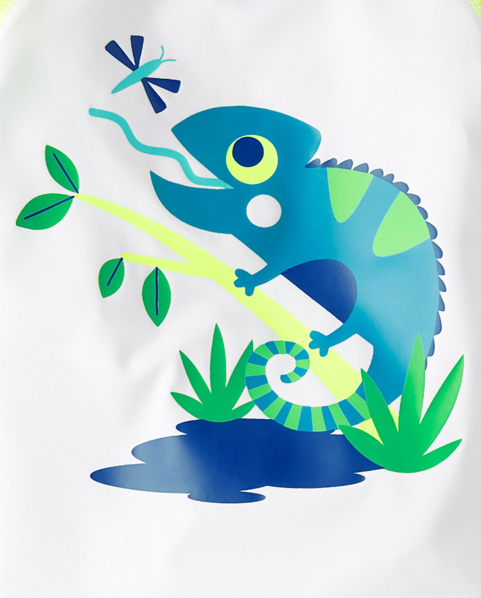 Baby And Toddler Boys Graphic Rashguard Swimsuit