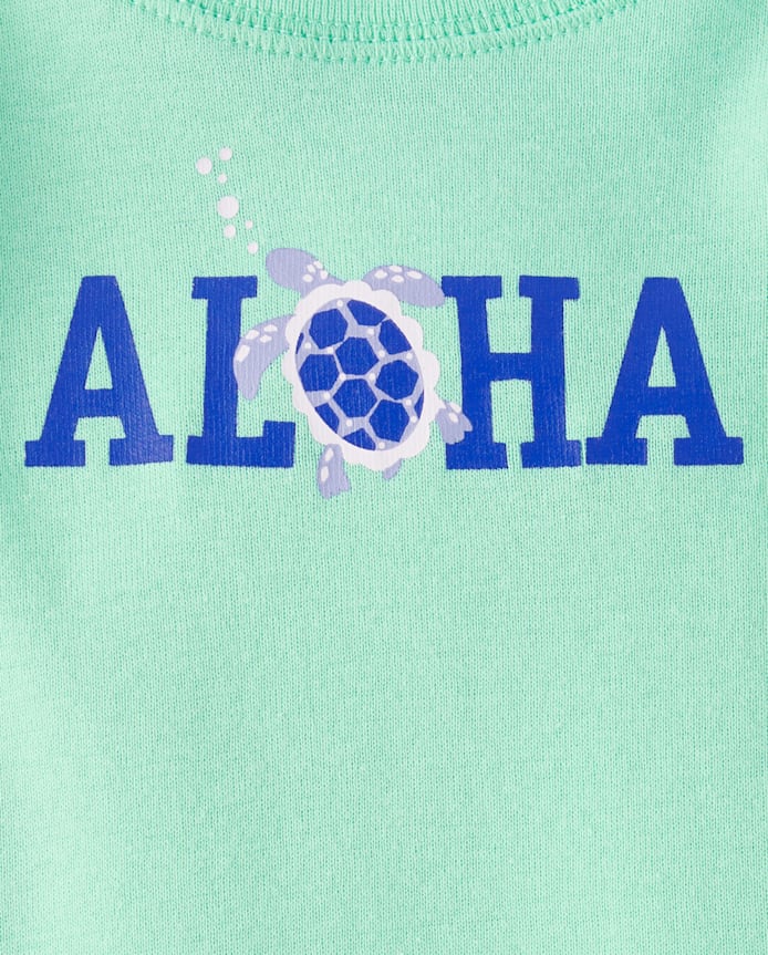 Baby Boys Turtle Bodysuit 5-Pack