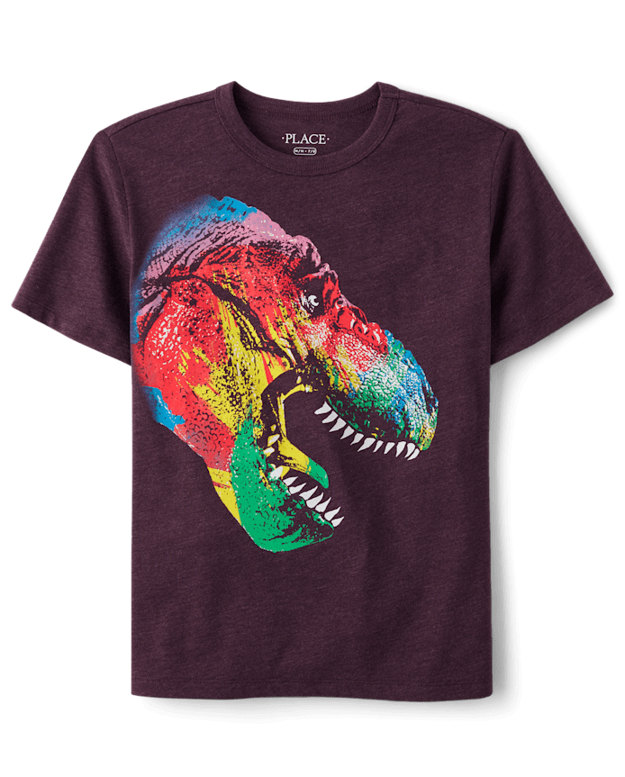 Boys Rainbow Dino Graphic Tee
