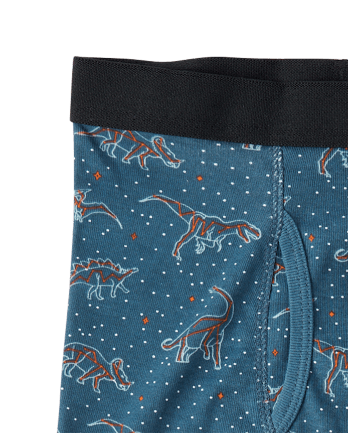 Boys Dino Boxer Brief Underwear 5-Pack