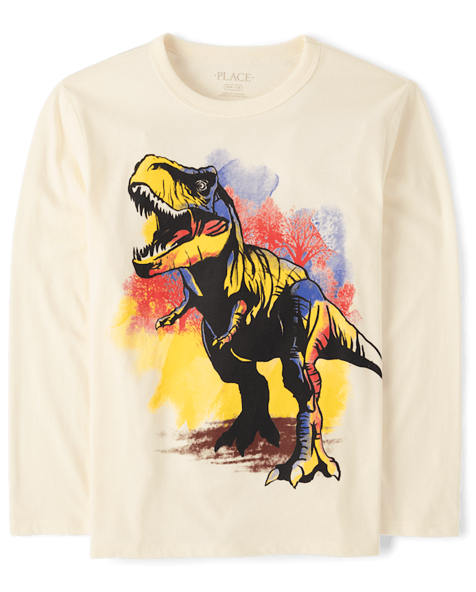 Boys Dinosaur Graphic Tee