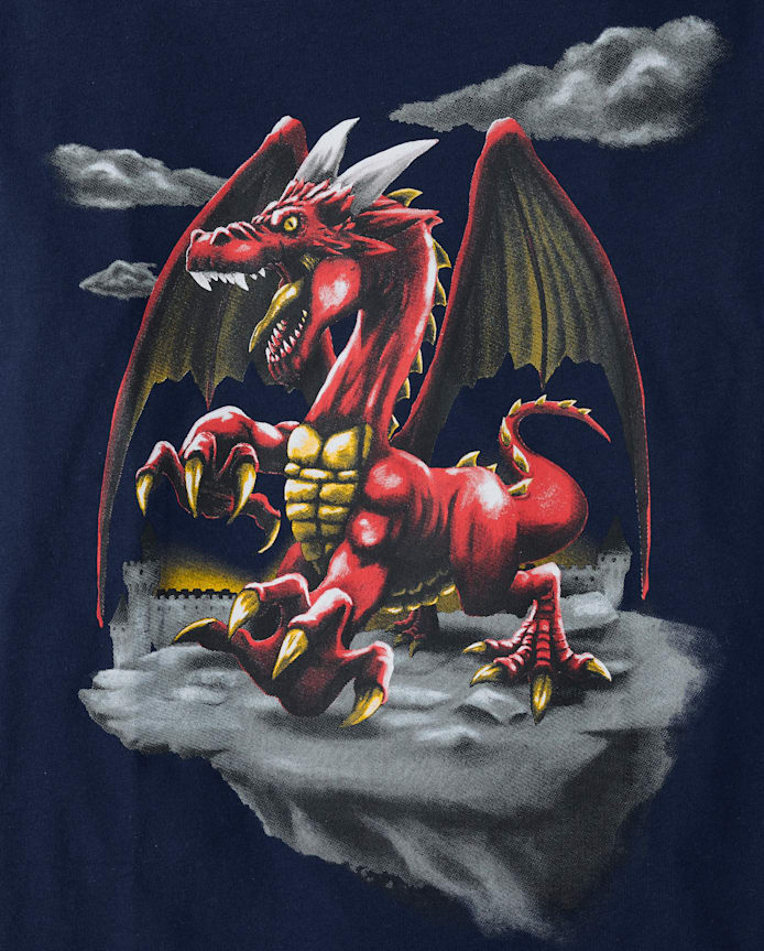 Boys Dragon Graphic Tee