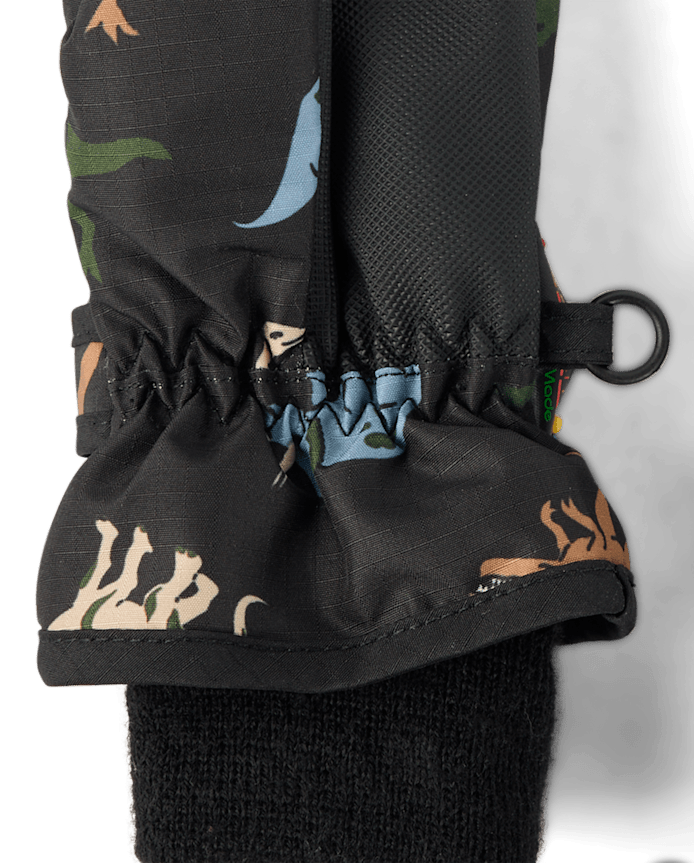 Toddler Boys Print Ski Mittens