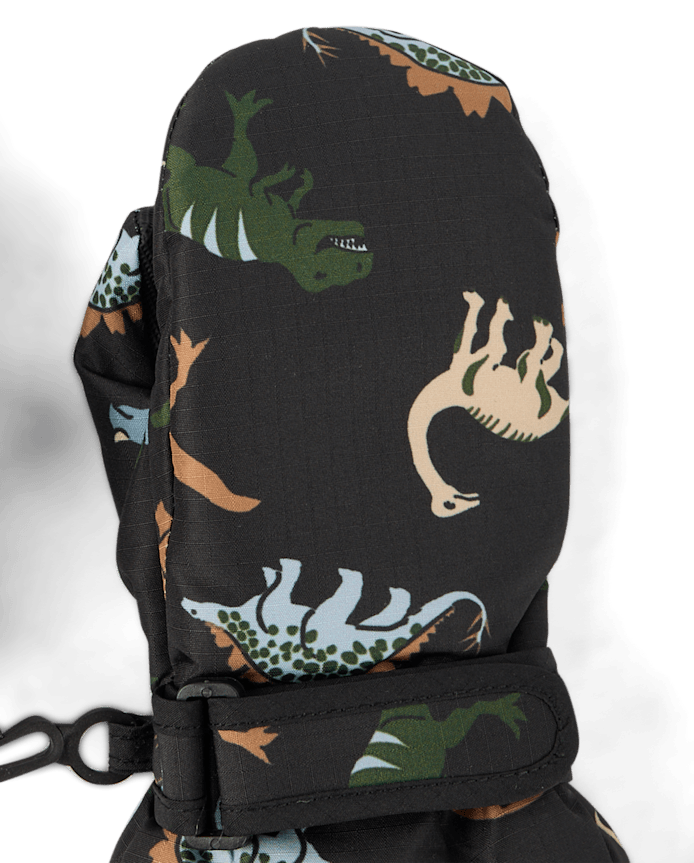 Toddler Boys Print Ski Mittens