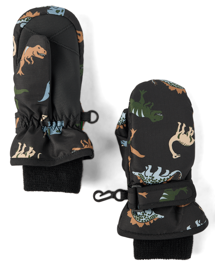 Toddler Boys Print Ski Mittens