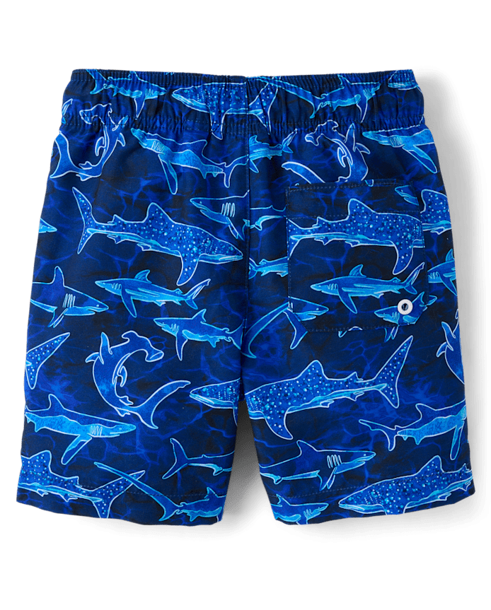 Boys Print Swim Trunks