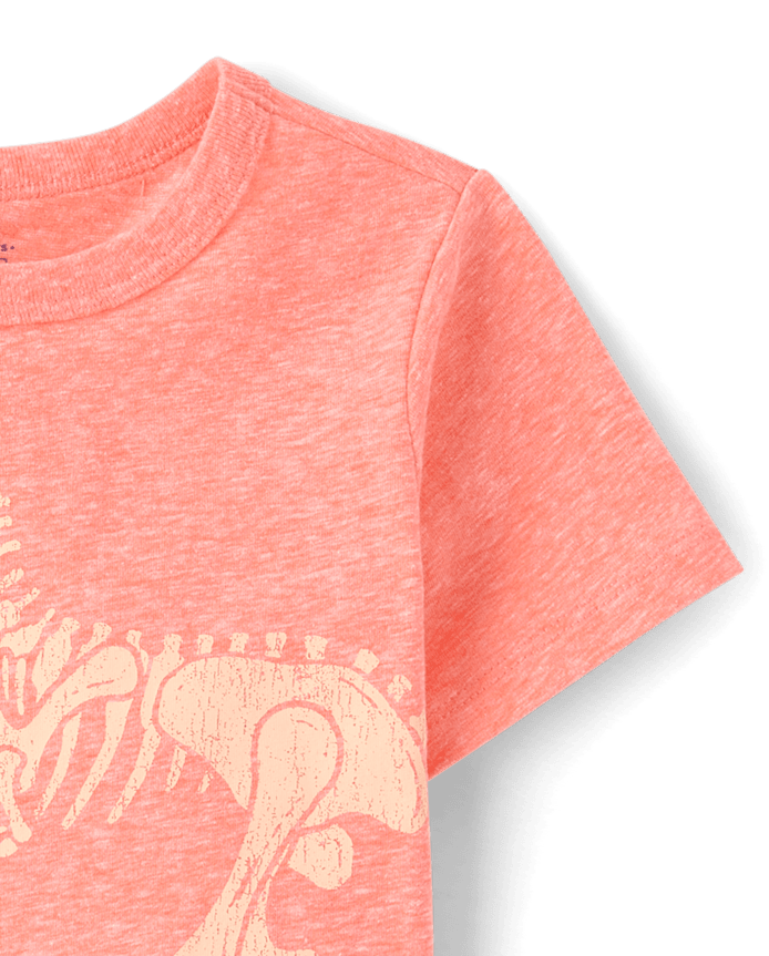 Baby And Toddler Boys Marled Dino Graphic Tee