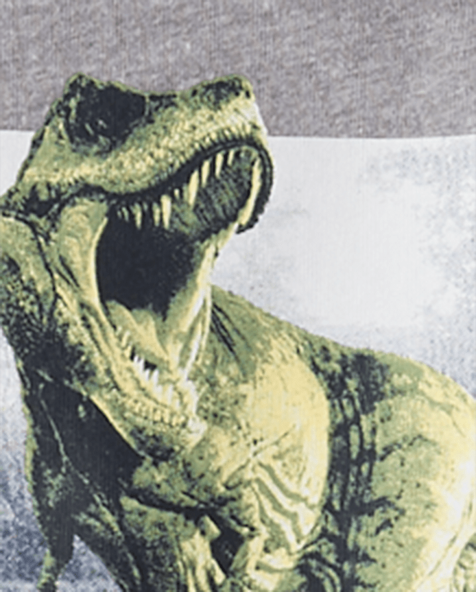 Boys Dino Graphic Tee