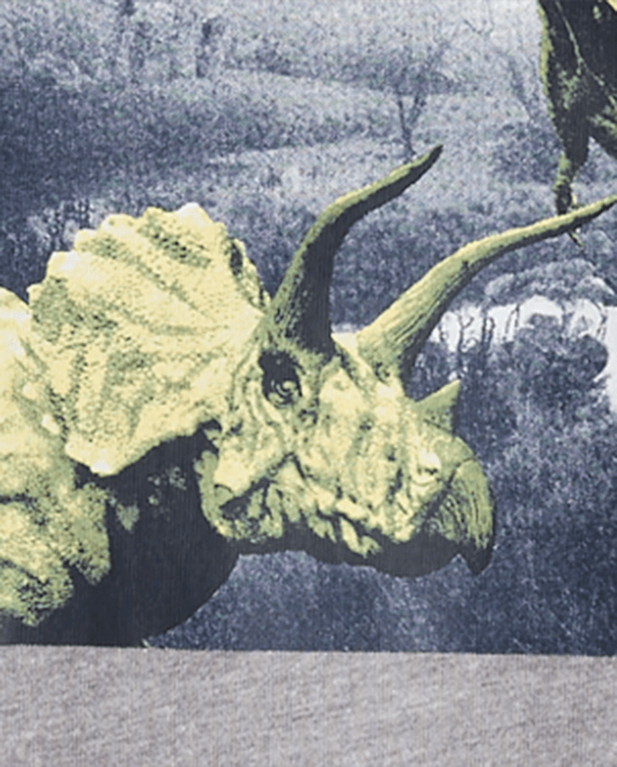 Boys Dino Graphic Tee