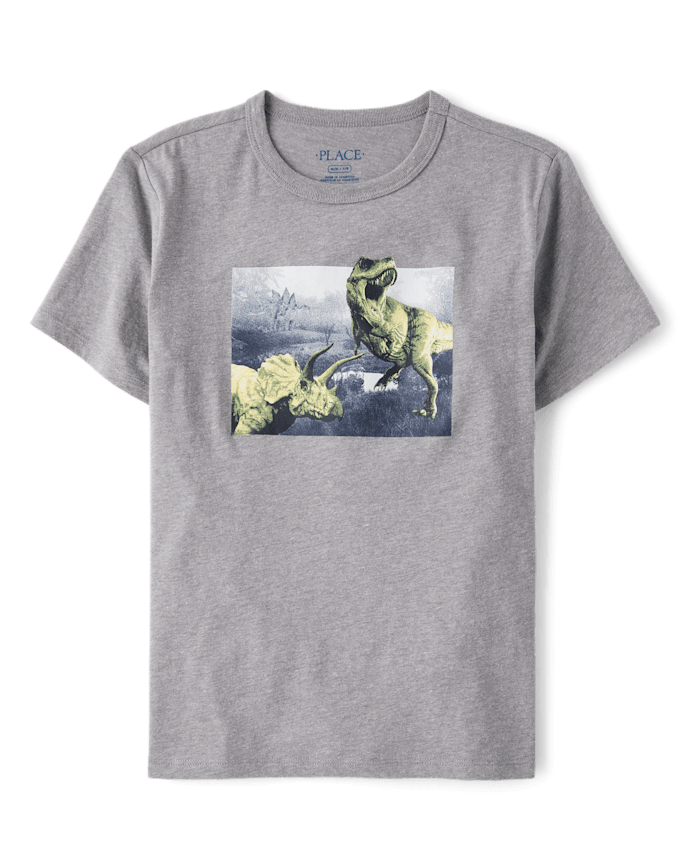 Boys Dino Graphic Tee