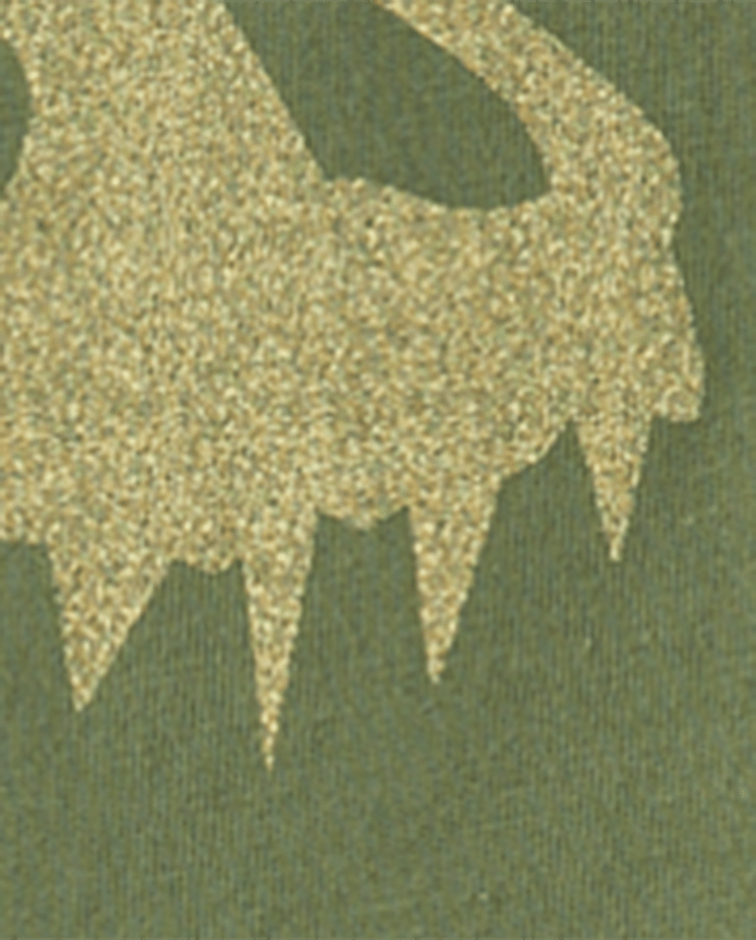 Boys Dino Skull Graphic Tee