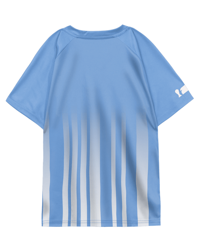 Kids FIFA World Cup™ Argentina Jersey