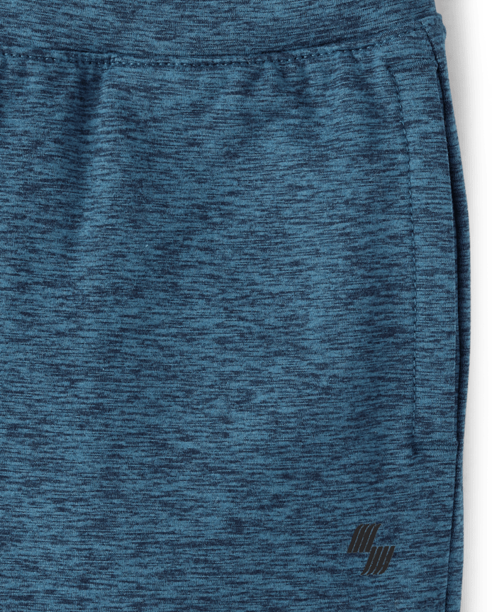 Boys Marled Cozy Active Jogger Pants