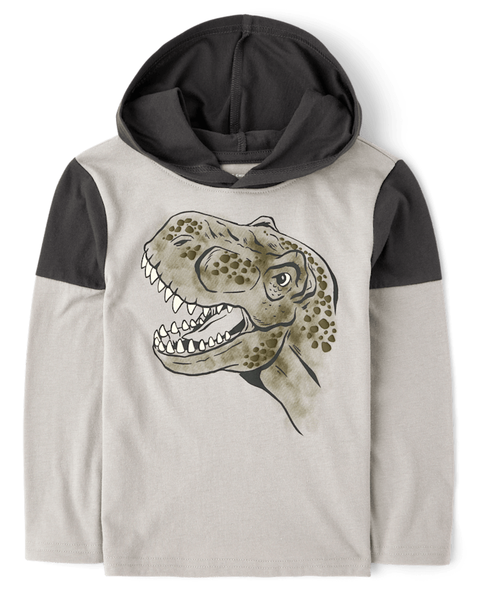 Baby And Toddler Boys Graphic Hooded Top